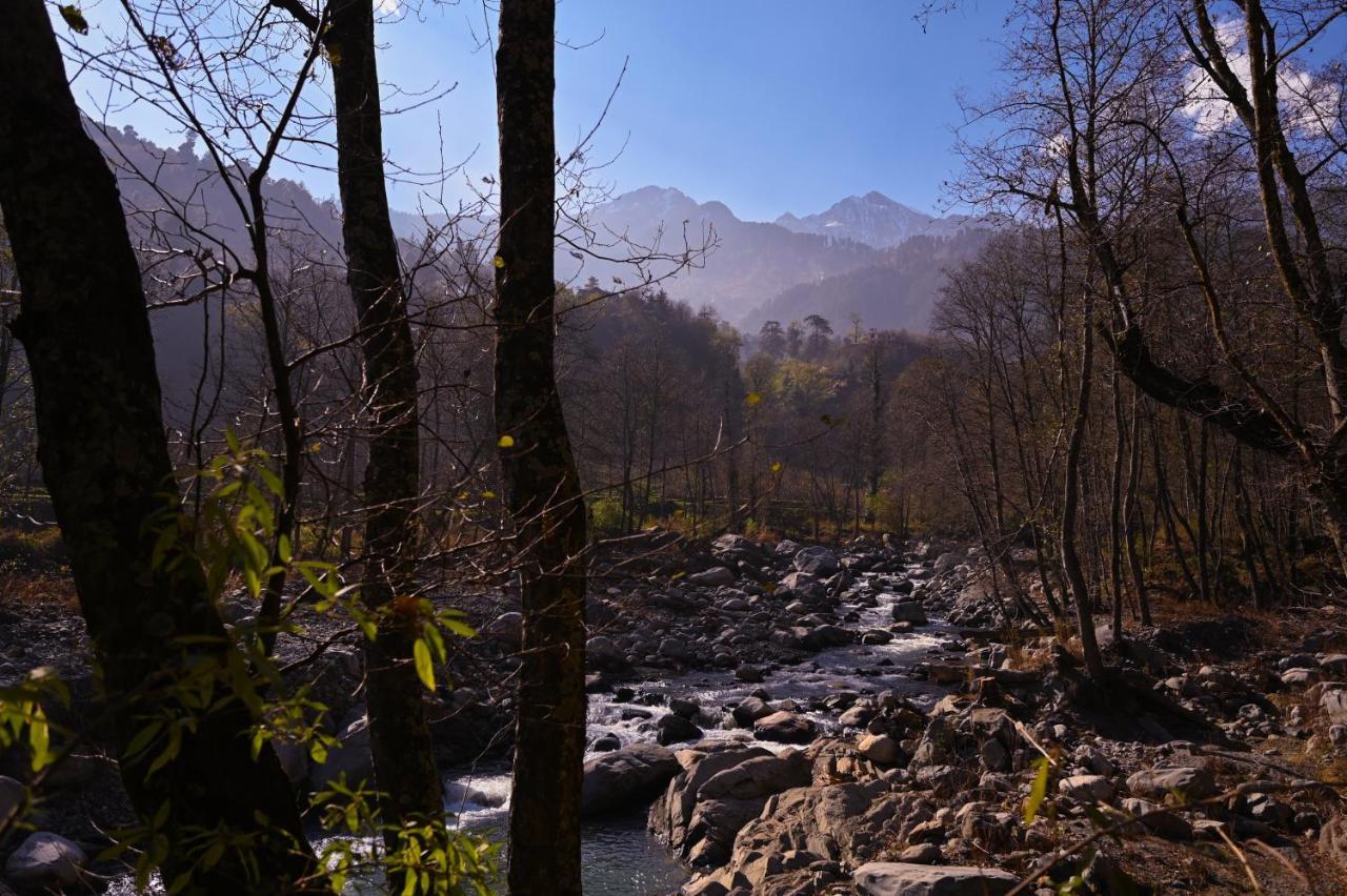 Zostel Dobhi, Manali Hostel Nagar  Exterior foto