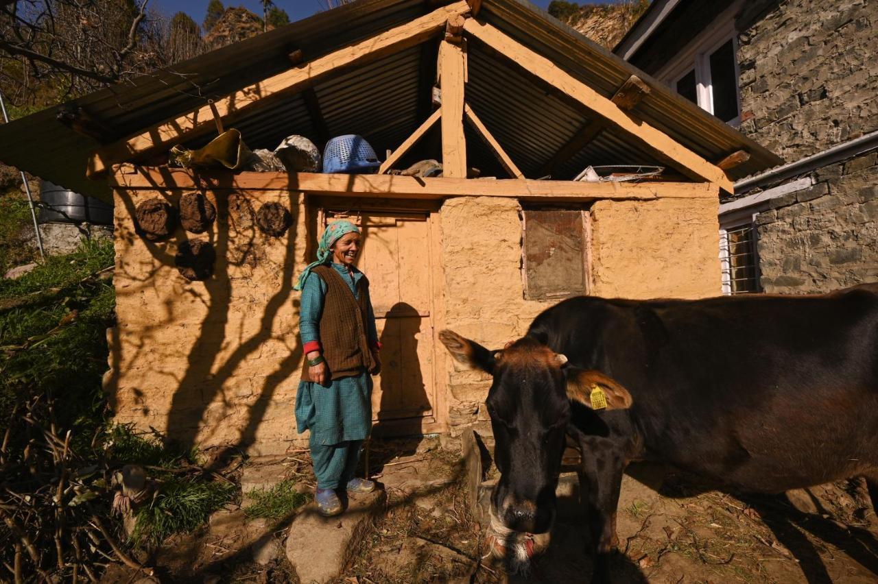 Zostel Dobhi, Manali Hostel Nagar  Exterior foto
