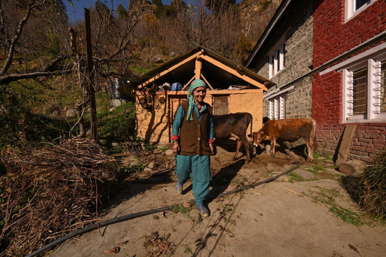 Zostel Dobhi, Manali Hostel Nagar  Exterior foto