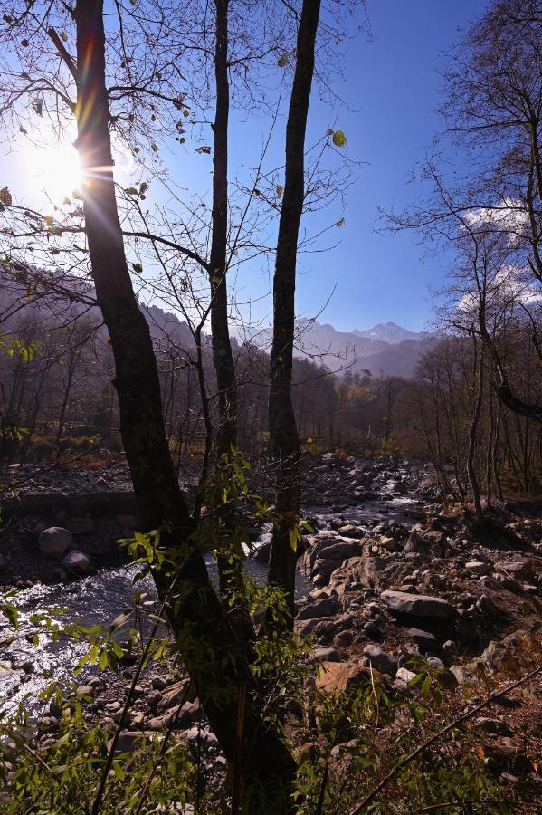 Zostel Dobhi, Manali Hostel Nagar  Exterior foto